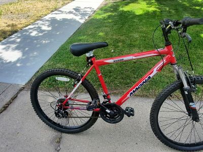 Magna Echo Ridge 24-inch Mountain Bike - Red, Hardtail, Youth/Adult