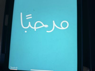 iPad 10 256GB model