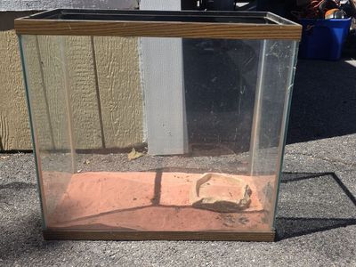 Fish Tank Aquarium