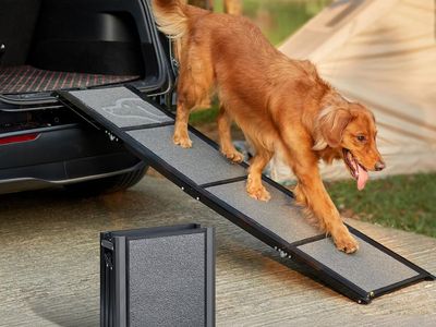 NEW Upgraded Dog Ramp for Car 63" Long & 19.7" Wider Portable Dog Ramps for Large Dogs