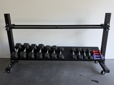 Dumbbell Set with Rolling Rack – 294 lbs Total – $650 OBO
