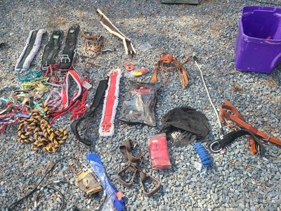 huge lot of horse tack