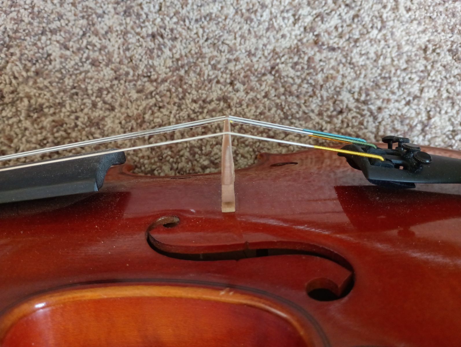 Main image 4
