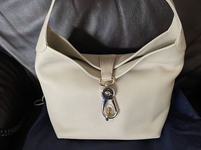 Dooney and Bourke new bone handbag