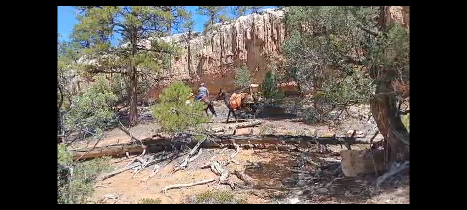 Main image 8