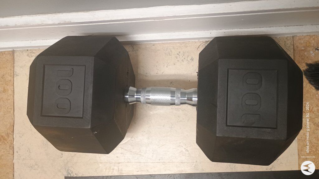 single 100lb rubber hex dumbbell