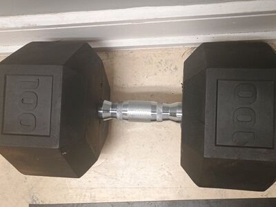 single 100lb rubber hex dumbbell