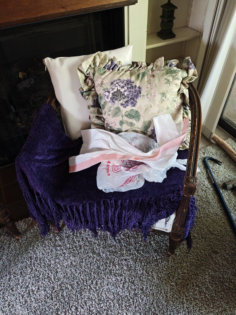 Pair of Accent Chairs - Great Bones, Questionable Life Choices