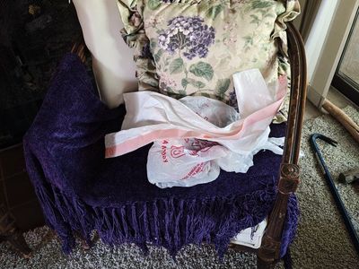 Pair of Accent Chairs - Great Bones, Questionable Life Choices