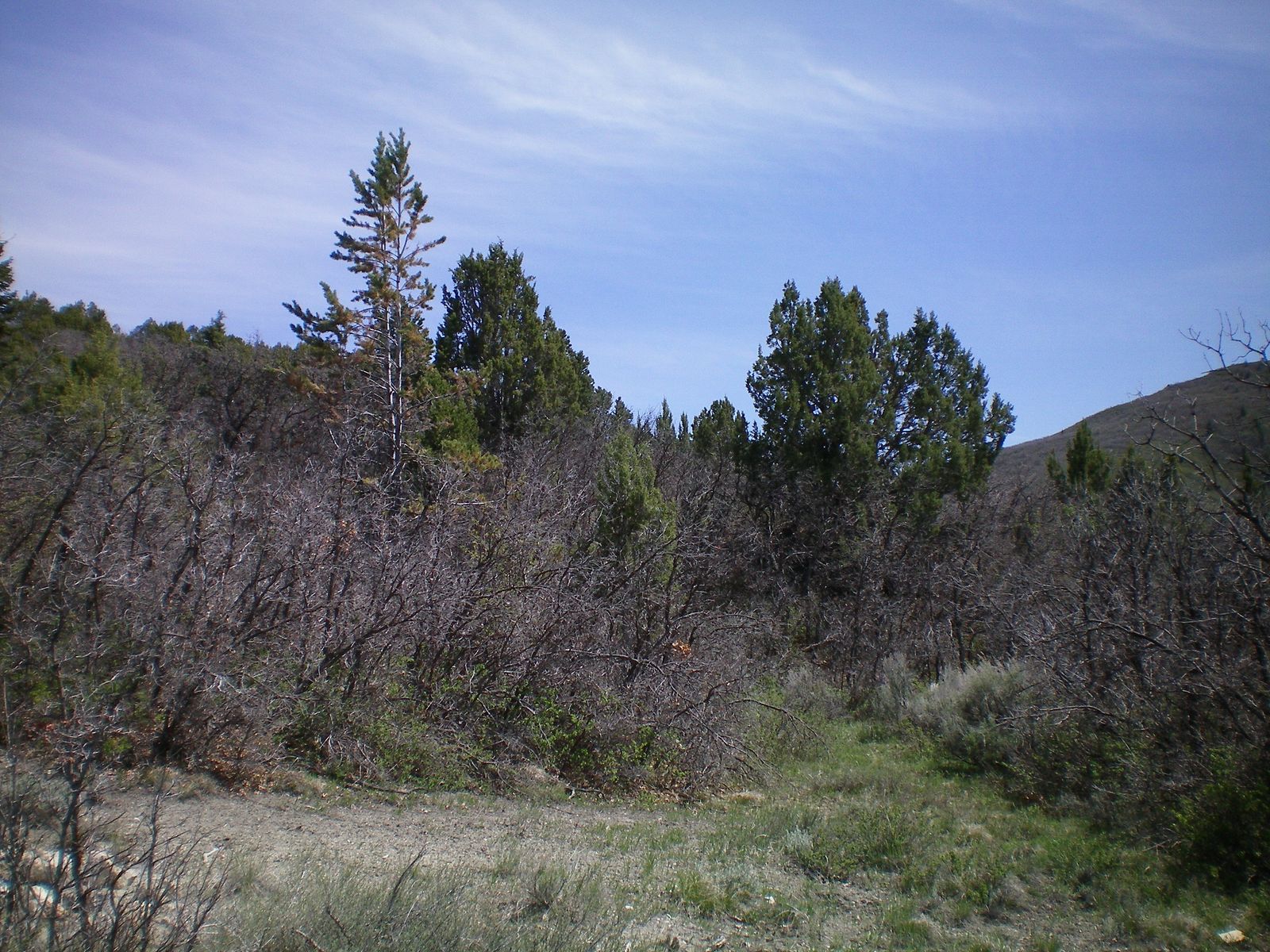 Main image 3