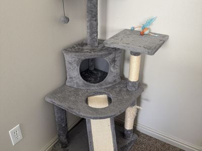 Gently Used Gray 45” Multi-Level Cat Tree w/ Condo & Scratching Posts - Lehi