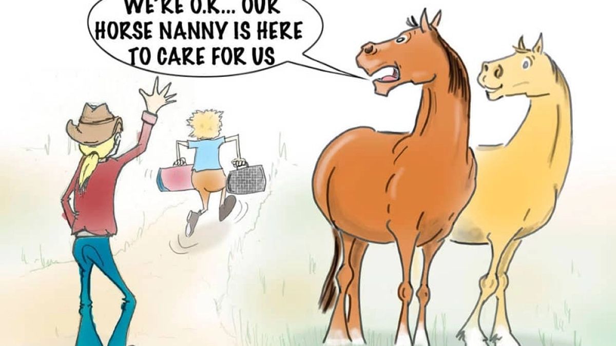 ISO Horsesitter