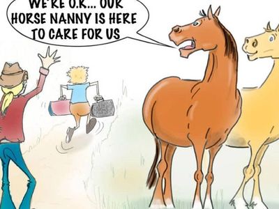 ISO Horsesitter