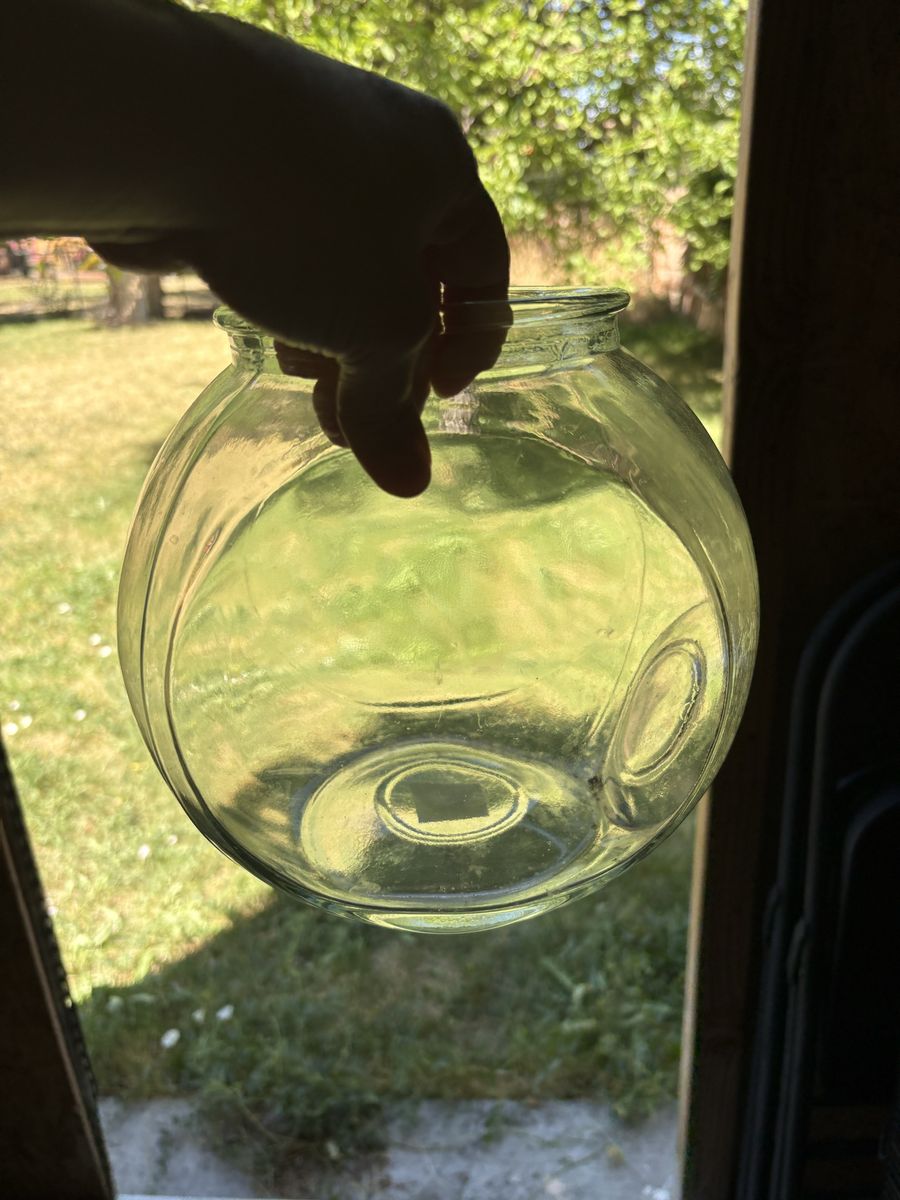 Fish bowl