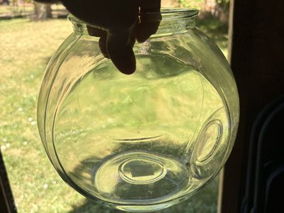 Fish bowl