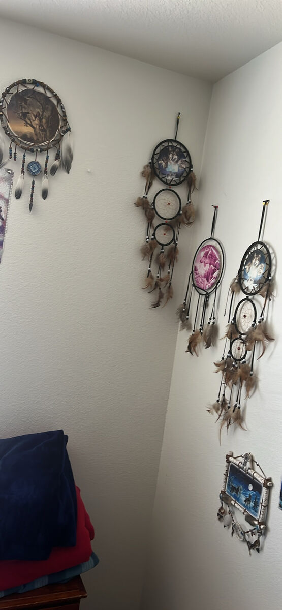 5 Dream Catchers