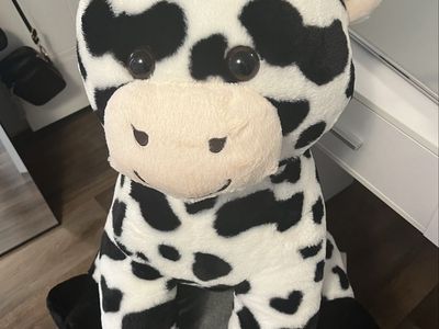 Stuffed animal