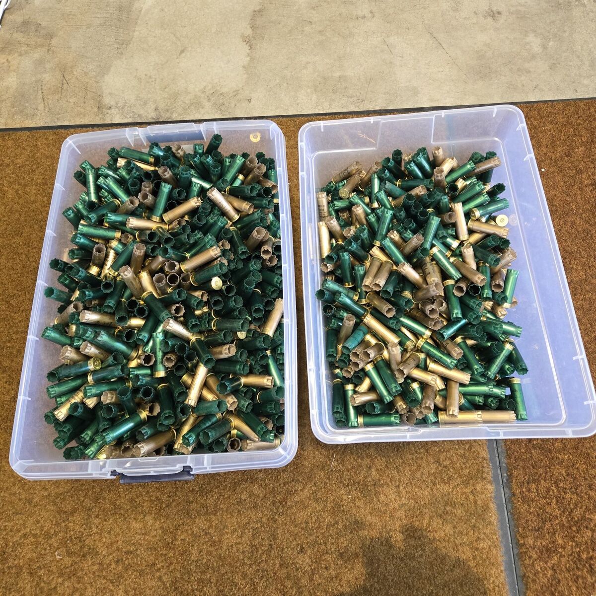 Remington 12ga hulls/shells