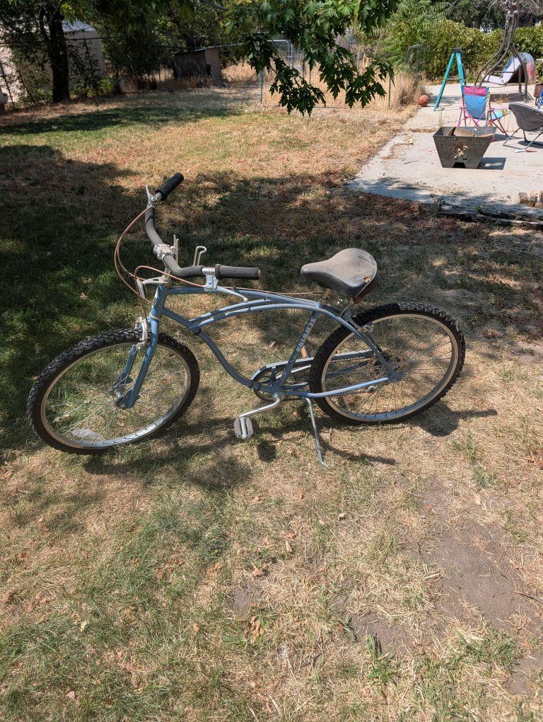 Vintage Schwinn Cruiser 5 Speed Blue Bicycle Pair