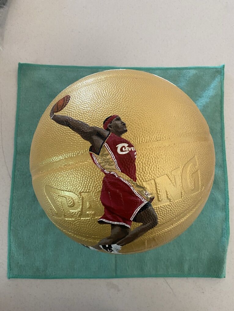 Lebron James Hand Painted Rookie Custom Basketball