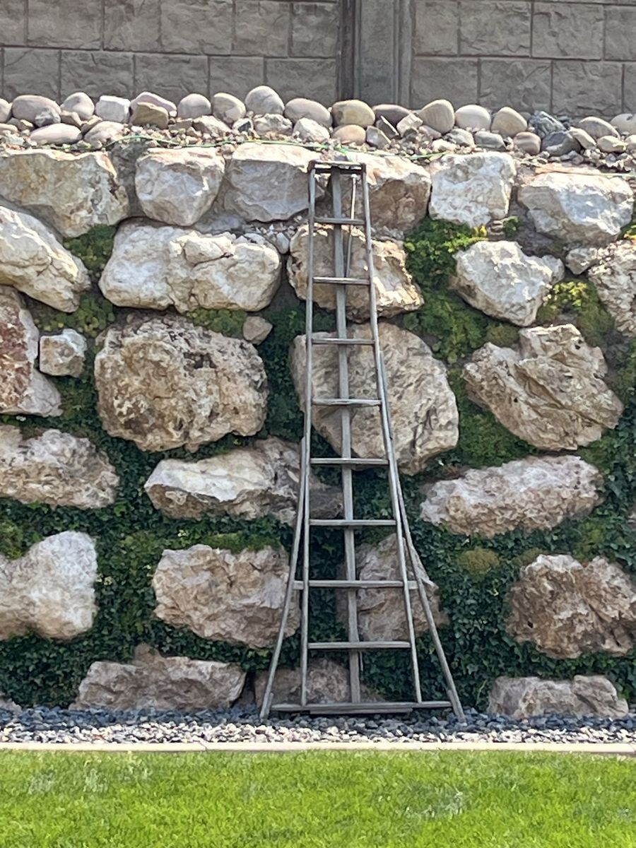 Main image 3