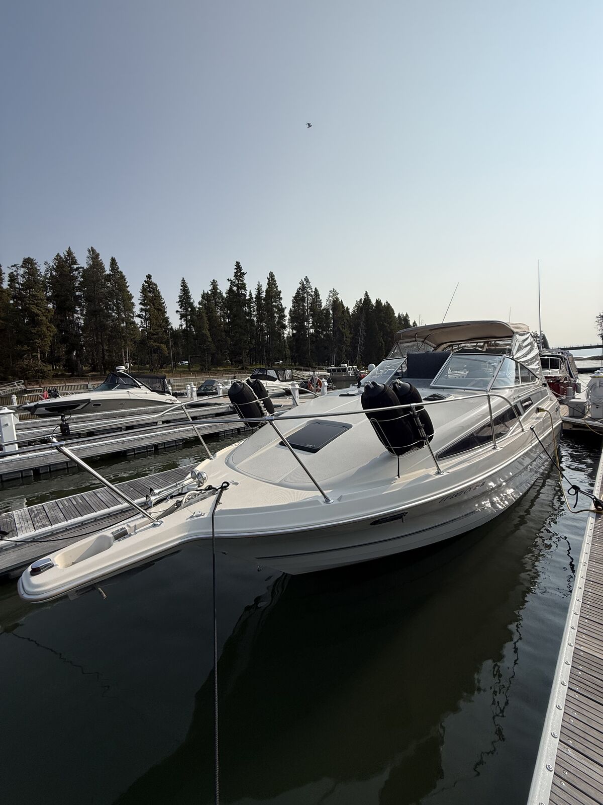 1996 Bayliner Cierra sun bridge 2855