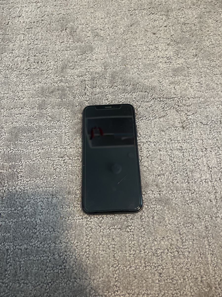 iPhone X