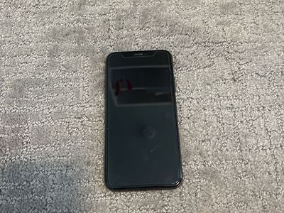 iPhone X