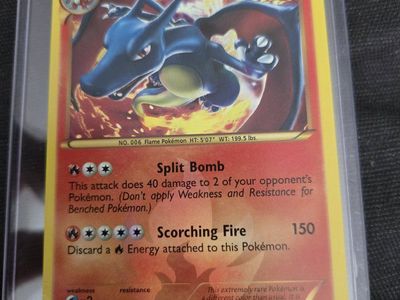 Pokemon Blue Charizard