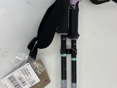Salomon 44 inch Polar Pro Ski Poles