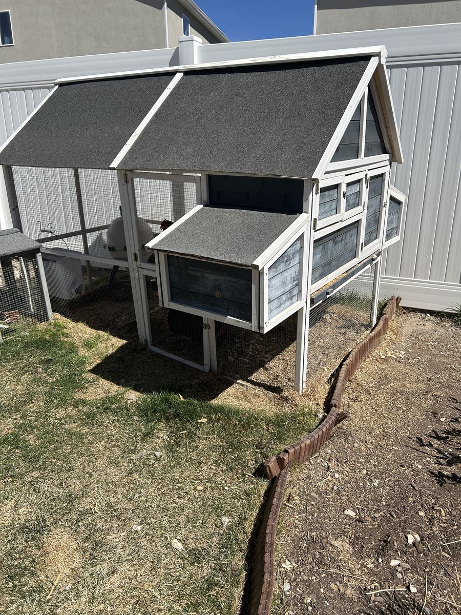 Chicken Coop