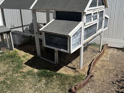 Chicken Coop