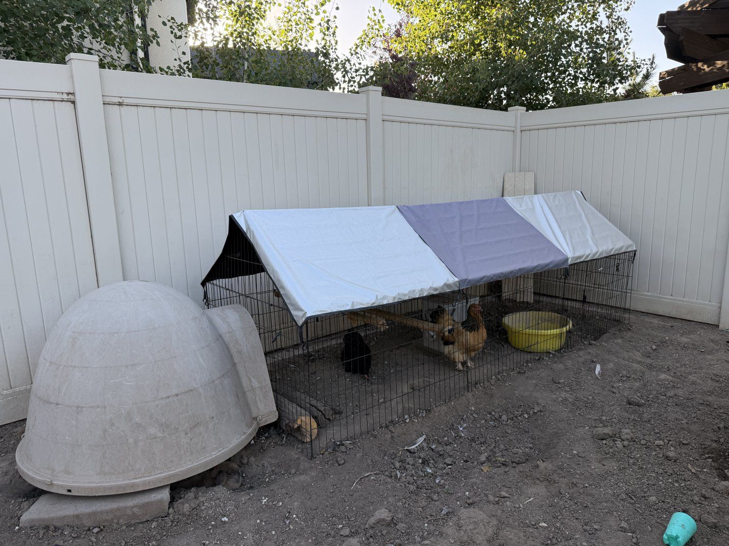 Backyard Chicken Coop/Run & Igloo Shelter