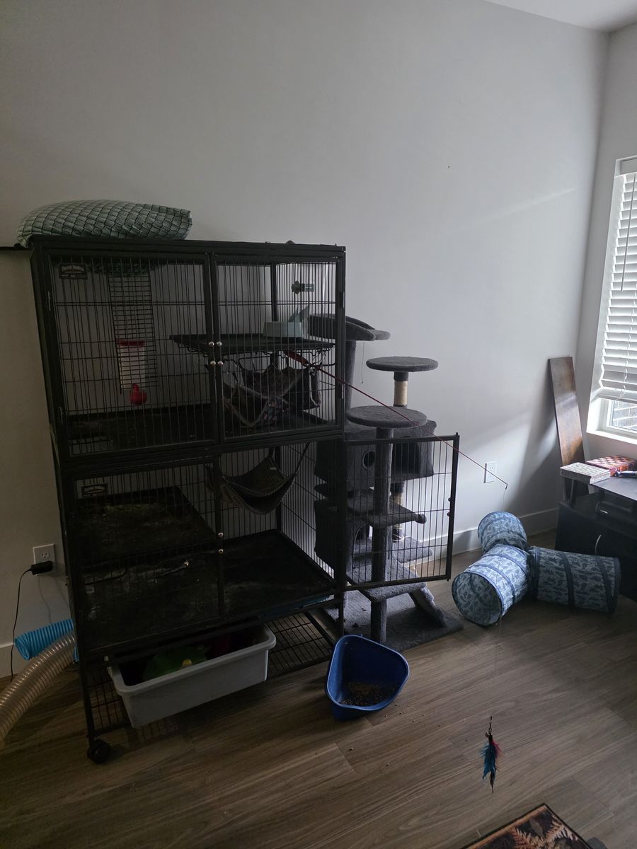 Ferret Nation Cage