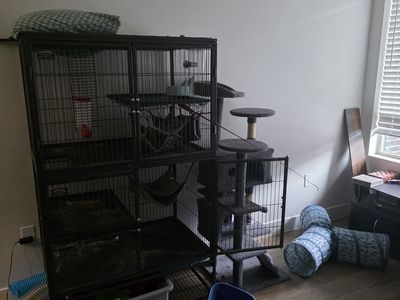 Ferret Nation Cage