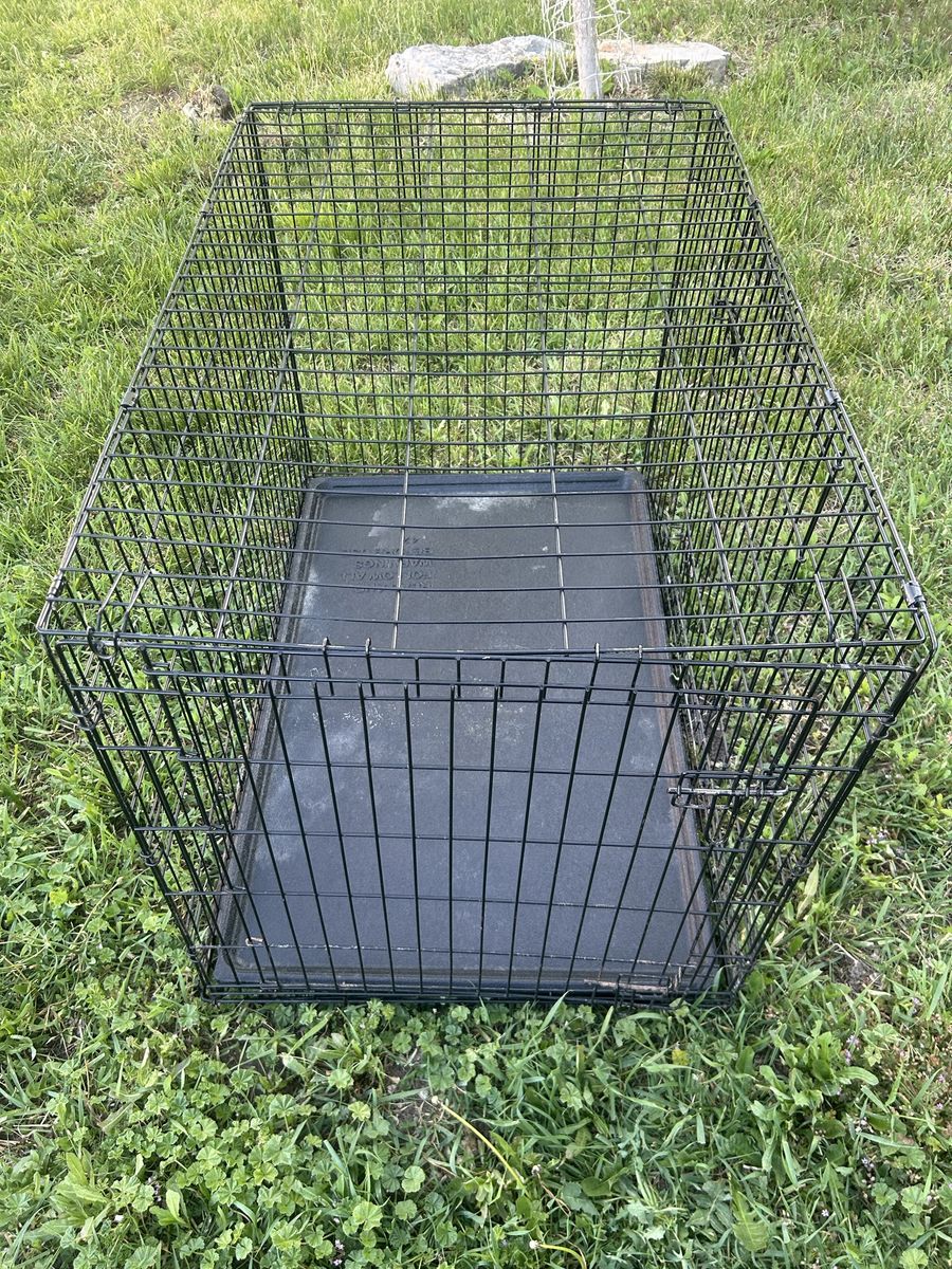 two door kennel