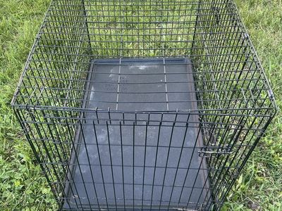two door kennel