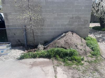 Dirt from organic garden