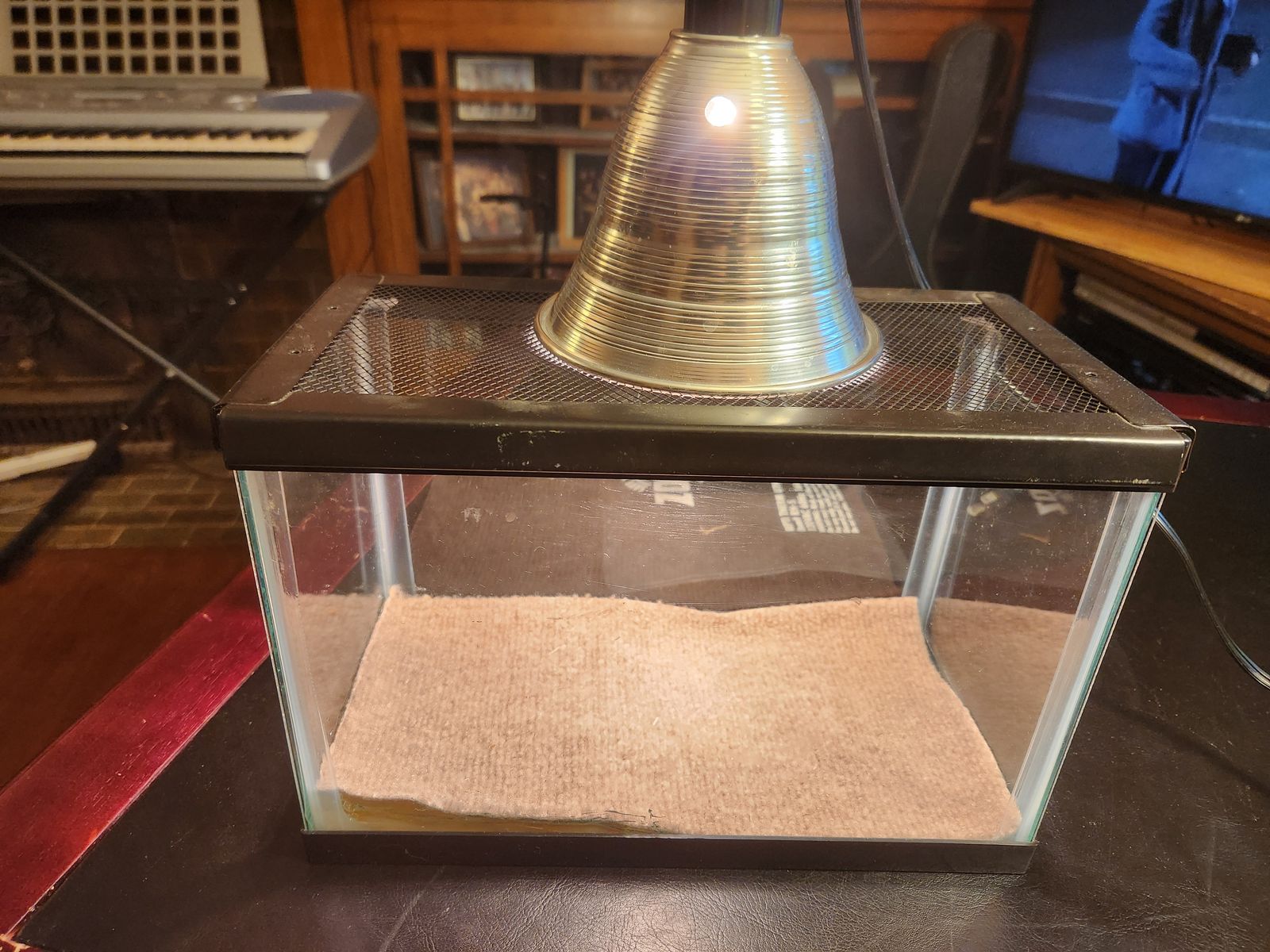 2.5 gallon reptile or spider tank.  With lid, light, carpet, and heater.