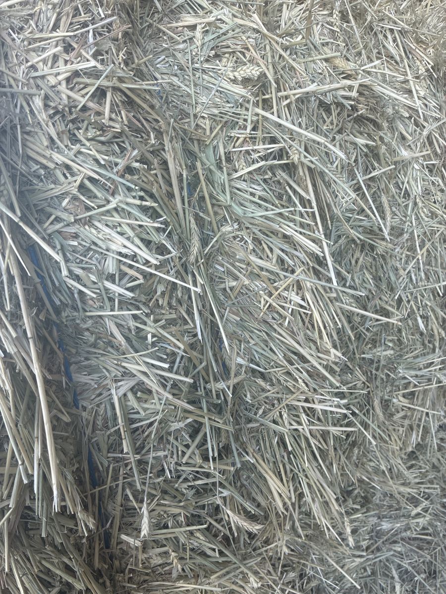 3 way hay