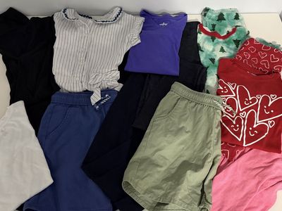 Girls Clothing Lot, Size 12