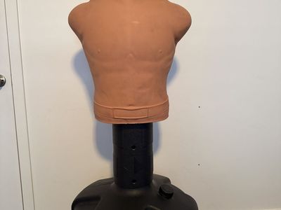 Century Bob Torso Training Bag – Barely Used – Excellent Condition
