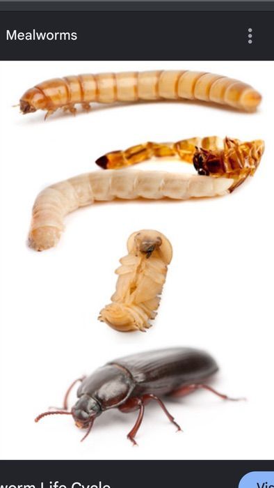 Main image 3