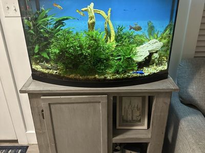 Bowfront Aquarium / Fish Tank with Stand