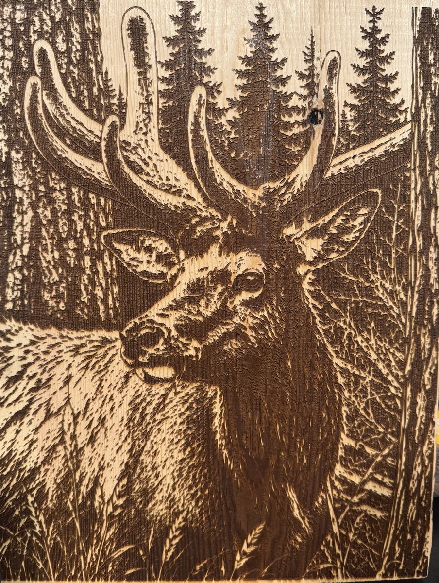 Elk wood burning art