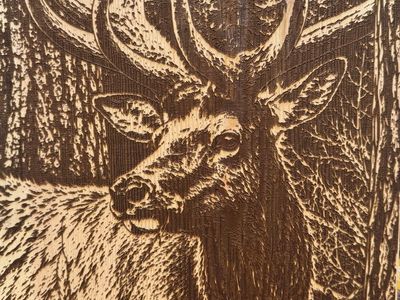 Elk wood burning art