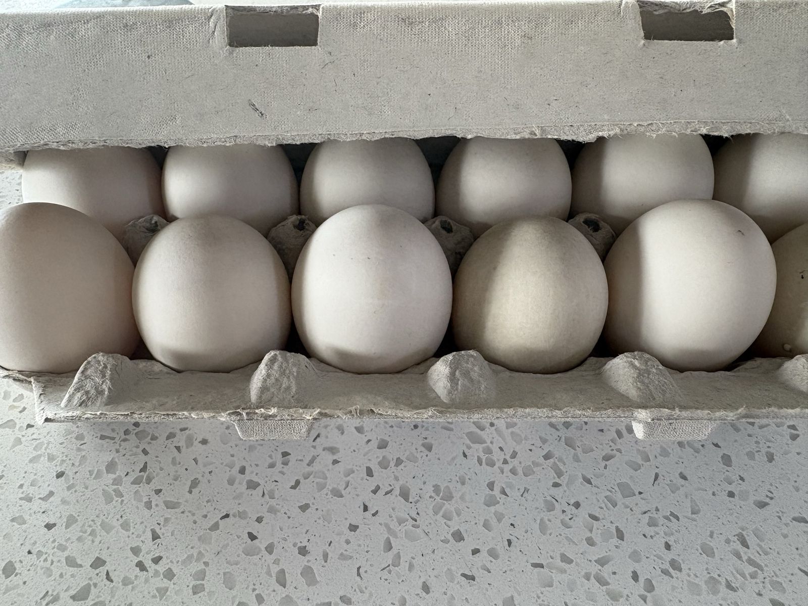 Fresh, Farm-Raised Chicken Eggs - Brown & White, Dozen or Half Dozen Available