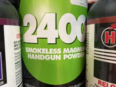 2400 Smokeless Magnum Handgun Powder.