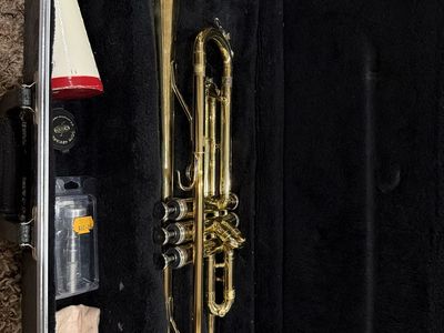 King Trumpet - Student Model