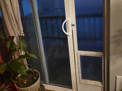Doggy Door insert for sliding glass door